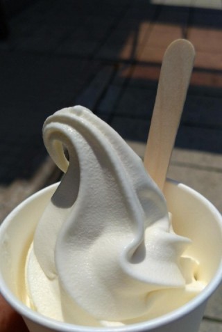 道の駅野田　のだ塩ソフトクリームです。